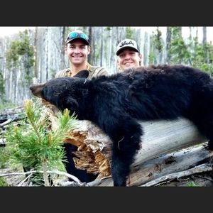 Meet your Posher, Brayden